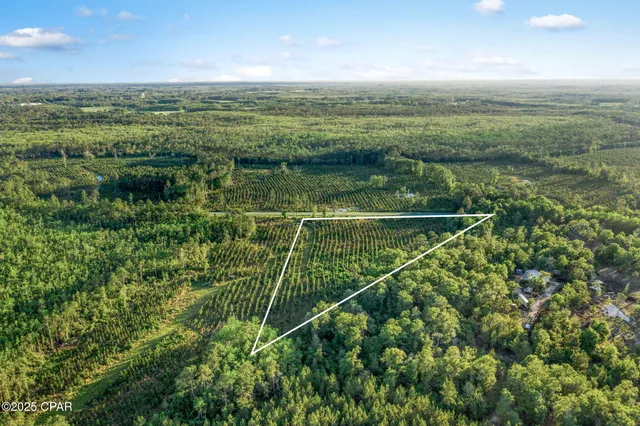 $44,999 | 177 Bonifay, Unit LOT 1, Bonifay, FL 32425