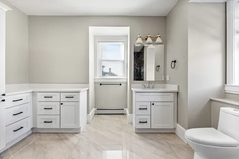 a bathroom with a sink a toilet and a vanity