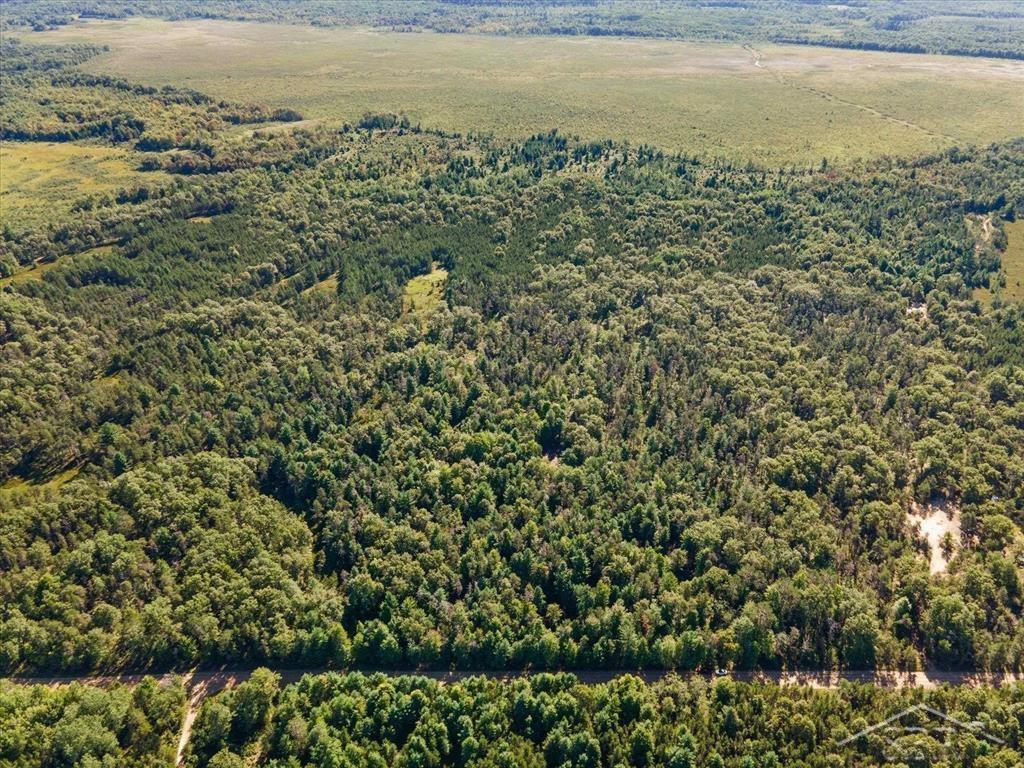 Vl Fireline Trail Alger, MI 48610 - Photo 4 of 15