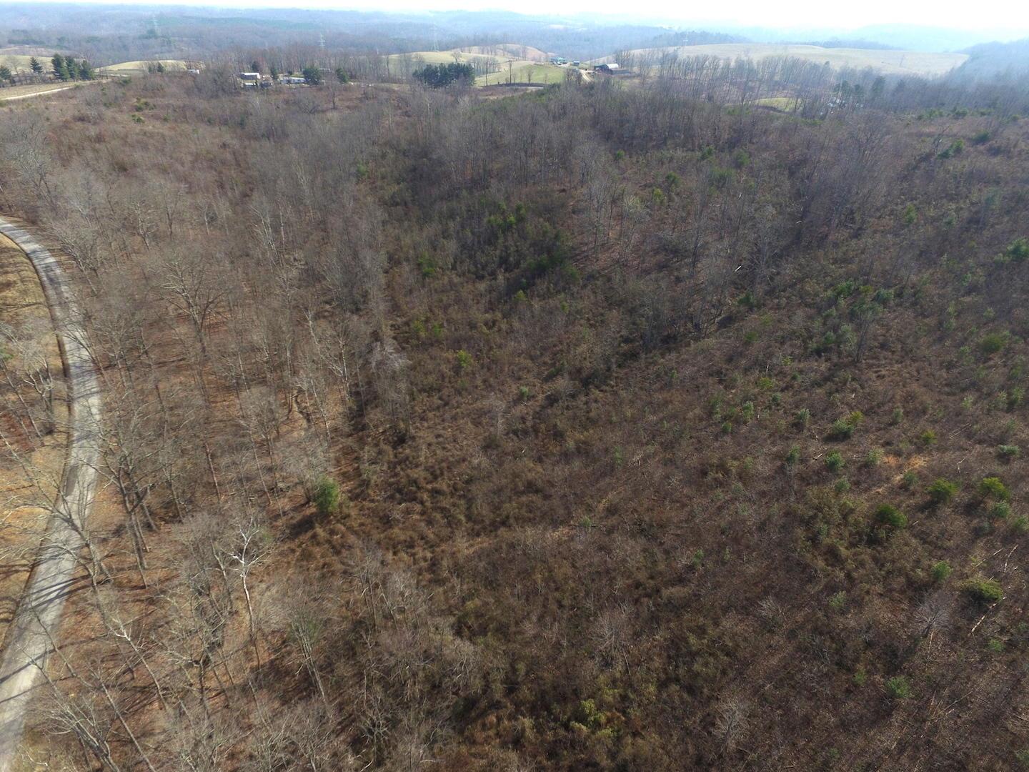 0 Deemer Road Jackson, OH 45640 - Photo 13 of 42