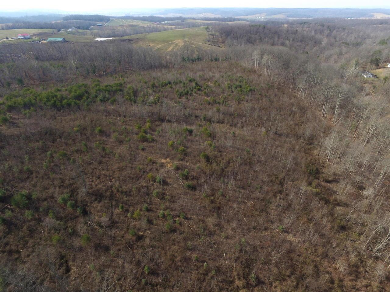 0 Deemer Road Jackson, OH 45640 - Photo 16 of 42