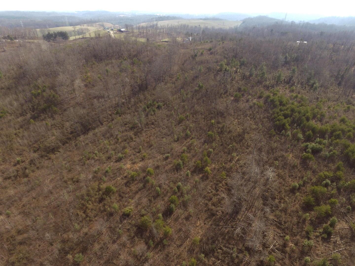 0 Deemer Road Jackson, OH 45640 - Photo 17 of 42