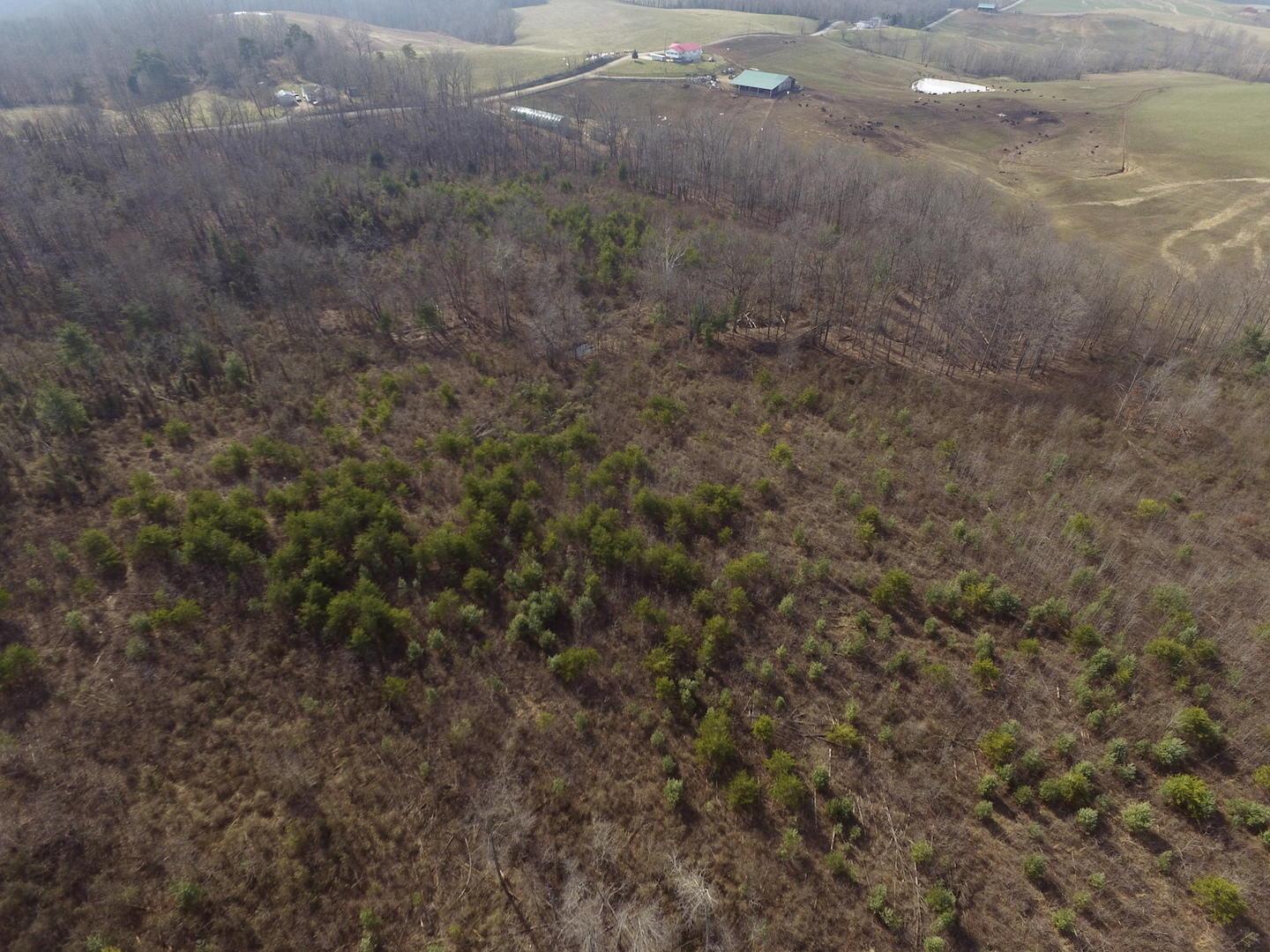 0 Deemer Road Jackson, OH 45640 - Photo 20 of 42
