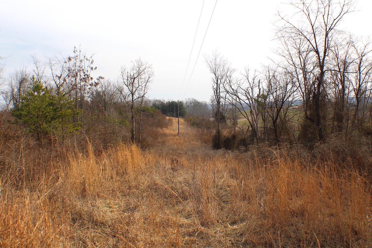 0 Deemer Road Jackson, OH 45640 - Photo 2 of 42