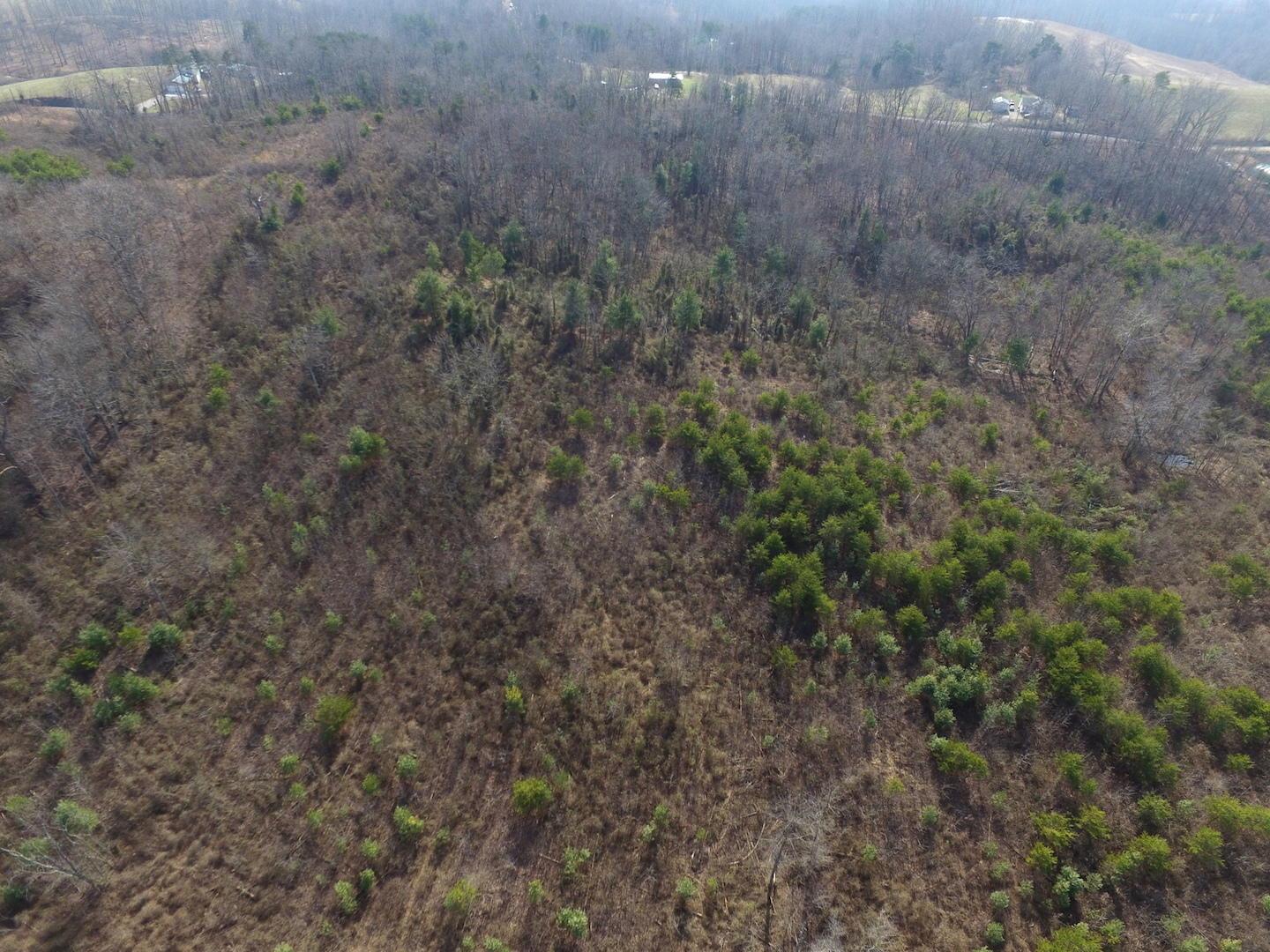 0 Deemer Road Jackson, OH 45640 - Photo 21 of 42