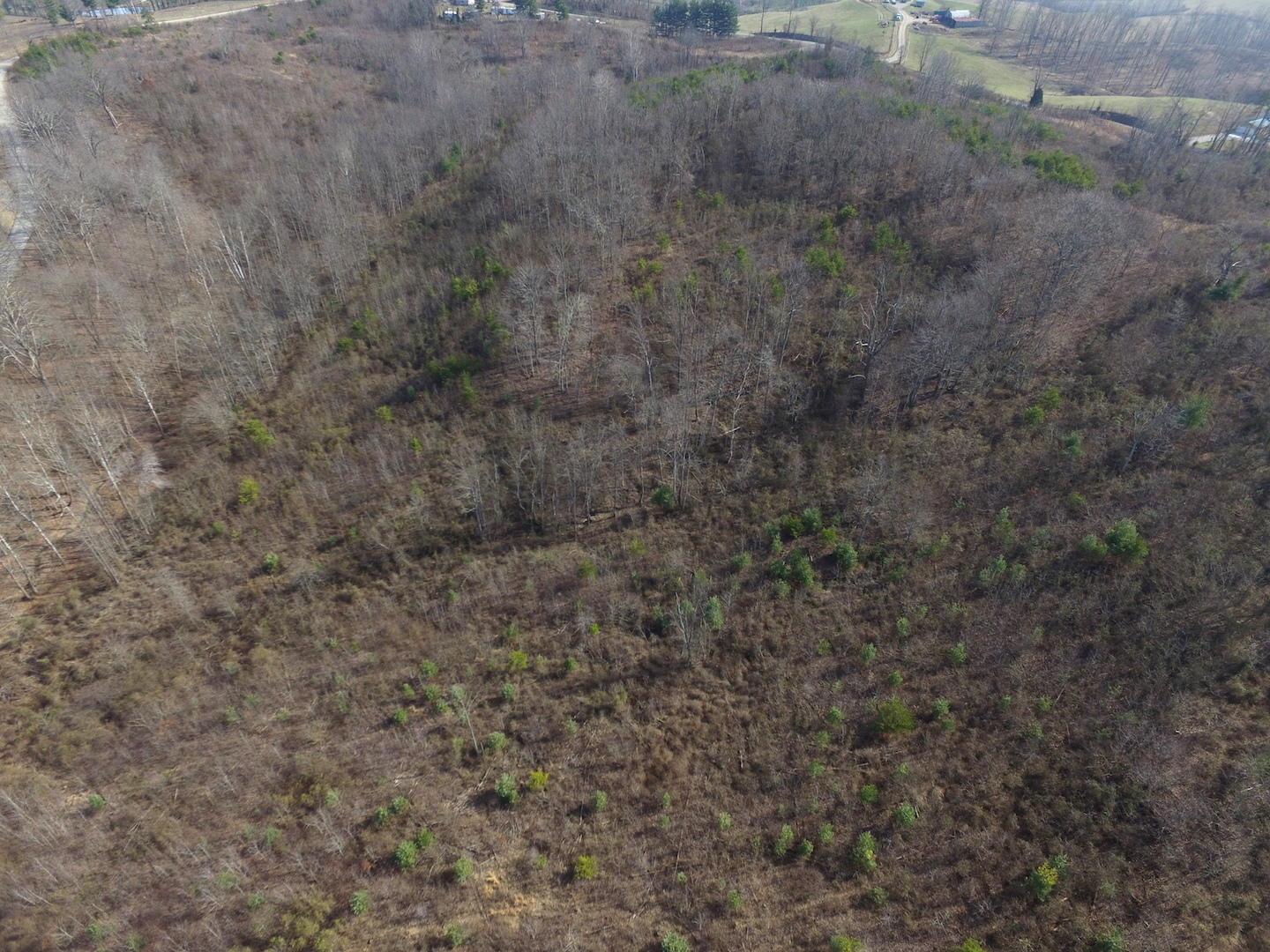 0 Deemer Road Jackson, OH 45640 - Photo 22 of 42