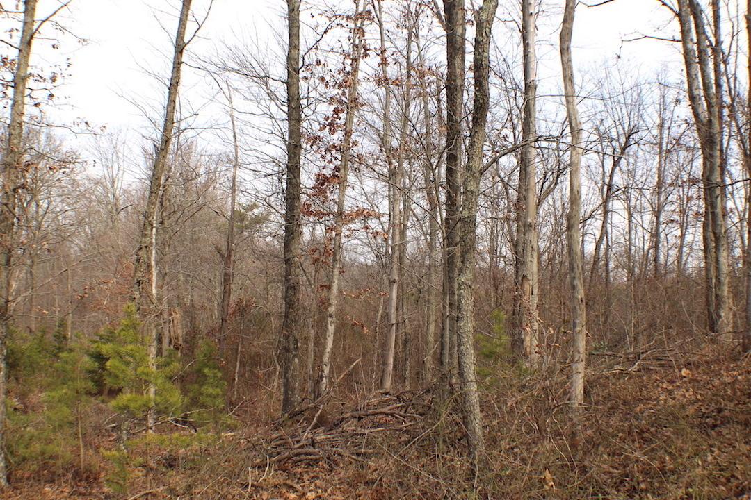 0 Deemer Road Jackson, OH 45640 - Photo 26 of 42