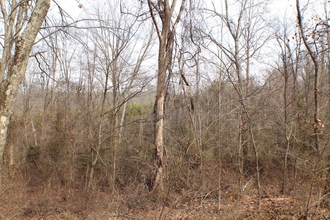 0 Deemer Road Jackson, OH 45640 - Photo 27 of 42