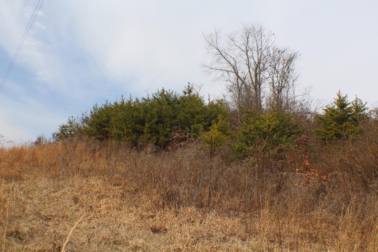 0 Deemer Road Jackson, OH 45640 - Photo 28 of 42