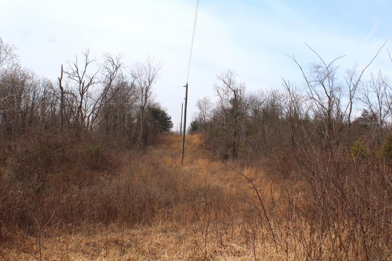 0 Deemer Road Jackson, OH 45640 - Photo 29 of 42