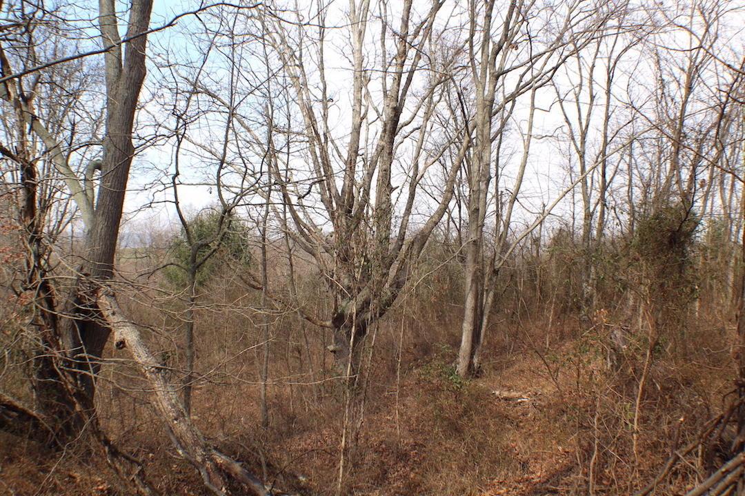 0 Deemer Road Jackson, OH 45640 - Photo 30 of 42