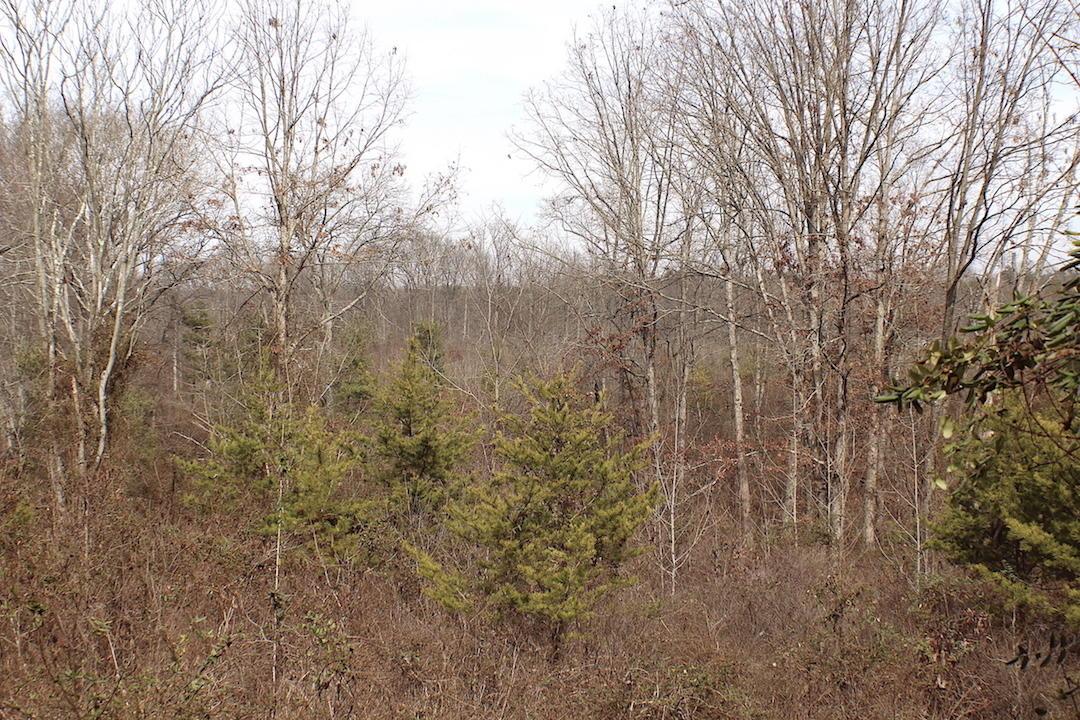 0 Deemer Road Jackson, OH 45640 - Photo 32 of 42