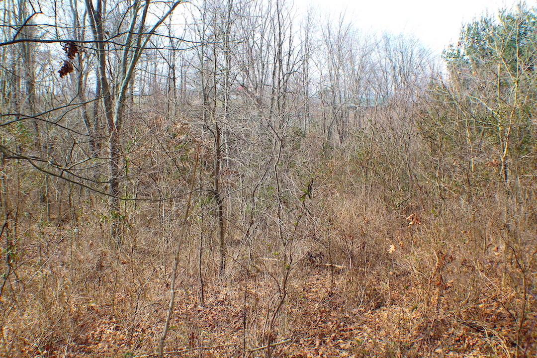 0 Deemer Road Jackson, OH 45640 - Photo 33 of 42