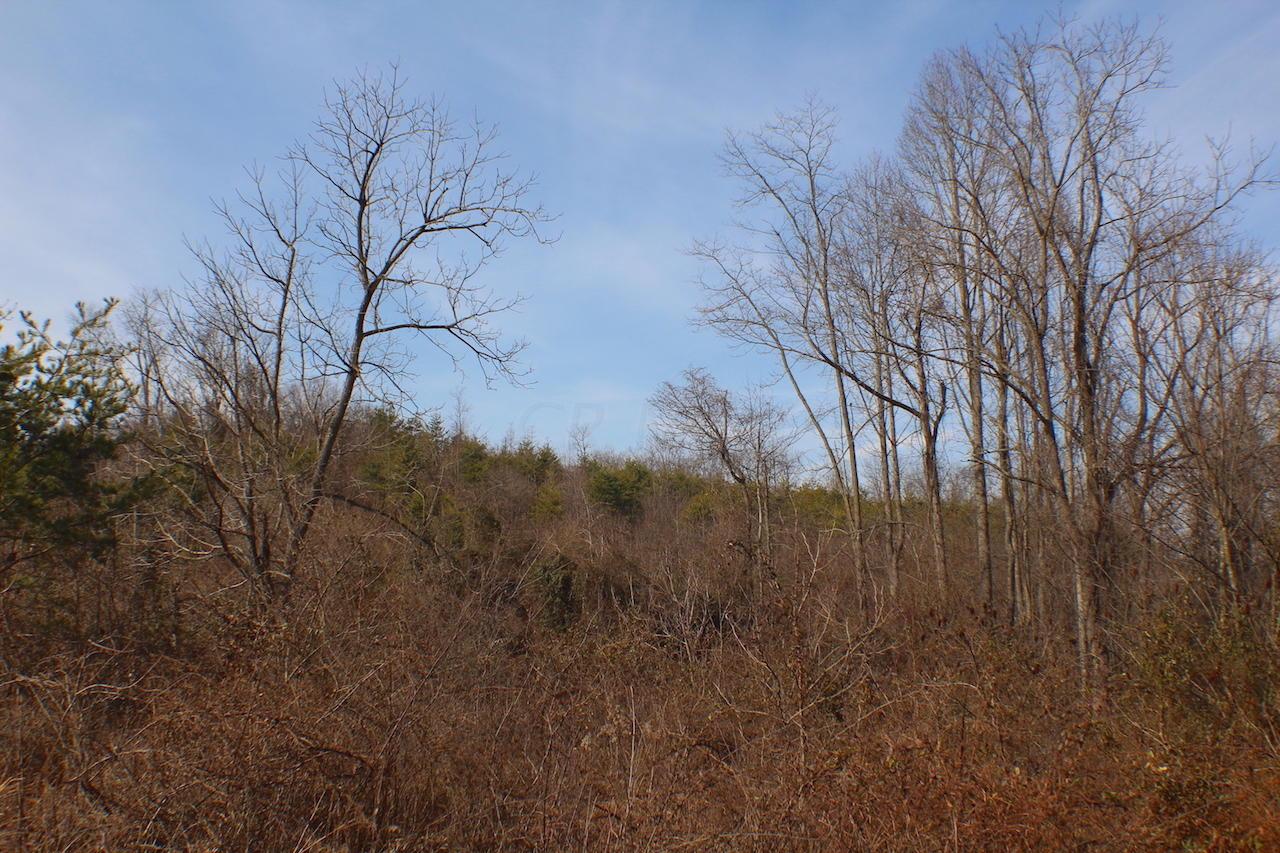 0 Deemer Road Jackson, OH 45640 - Photo 34 of 42