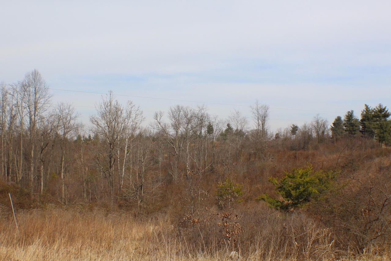 0 Deemer Road Jackson, OH 45640 - Photo 35 of 42