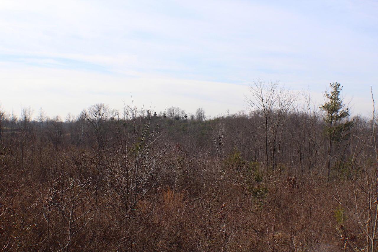 0 Deemer Road Jackson, OH 45640 - Photo 38 of 42