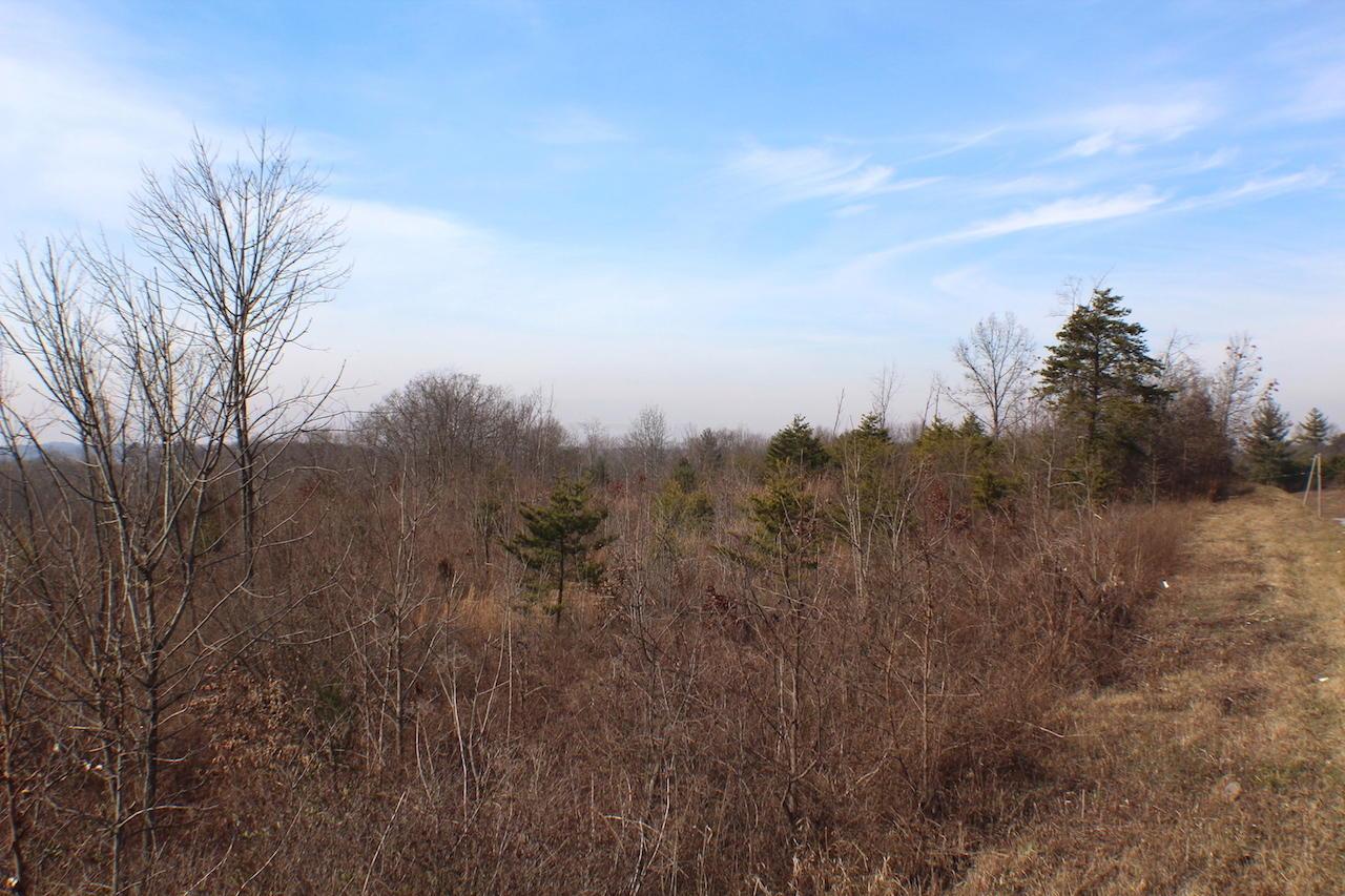 0 Deemer Road Jackson, OH 45640 - Photo 39 of 42