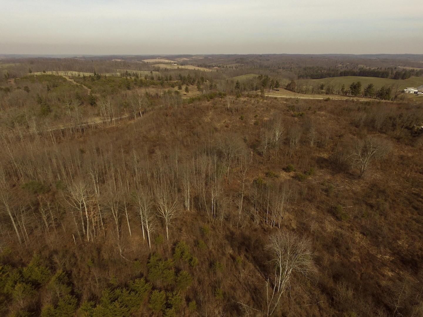 0 Deemer Road Jackson, OH 45640 - Photo 4 of 42