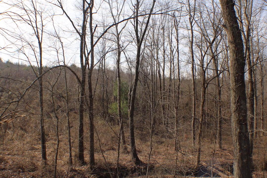 0 Deemer Road Jackson, OH 45640 - Photo 42 of 42