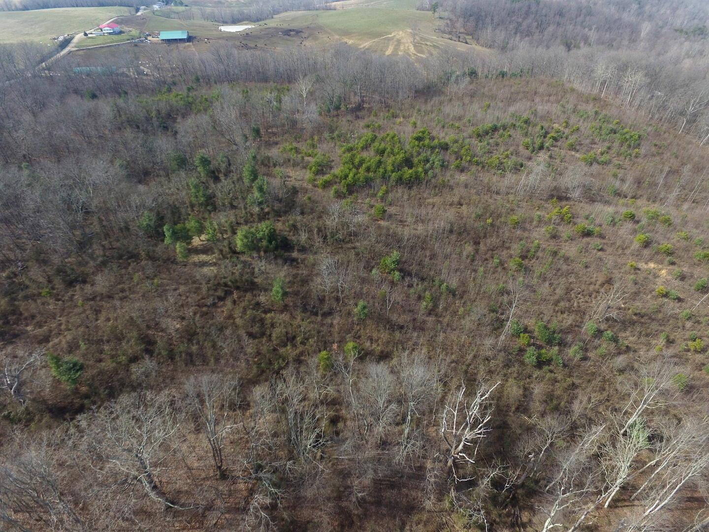 0 Deemer Road Jackson, OH 45640 - Photo 8 of 42