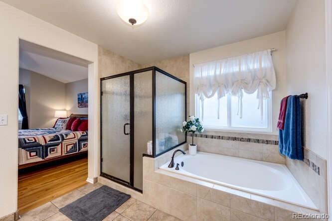 9971 Silver Maple Road Highlands Ranch, CO 80129 - Photo 22 of 40 Gallery Image 22
