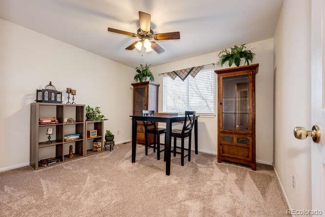 9971 Silver Maple Road Highlands Ranch, CO 80129 - Photo 23 of 40 Gallery Image 23