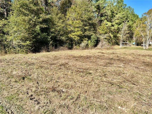 34167 Ambrose Hoover Road Tickfaw, LA 70466 - Photo 23 of 23