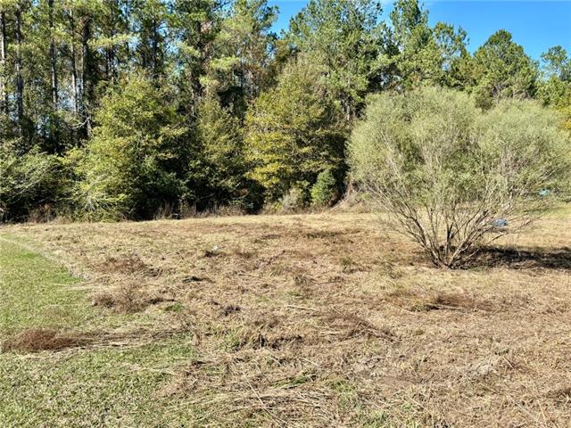 34167 Ambrose Hoover Road Tickfaw, LA 70466 - Photo 5 of 23