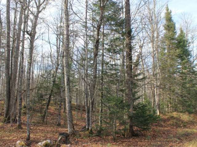 On On Cth G, Unit LT 9 Mercer, WI 54547 - Photo 15 of 15 Gallery Image 15