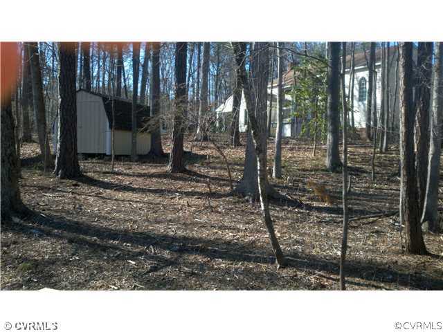 10220 Falconbridge Drive Henrico, VA 23238 - Photo 9 of 9 Other