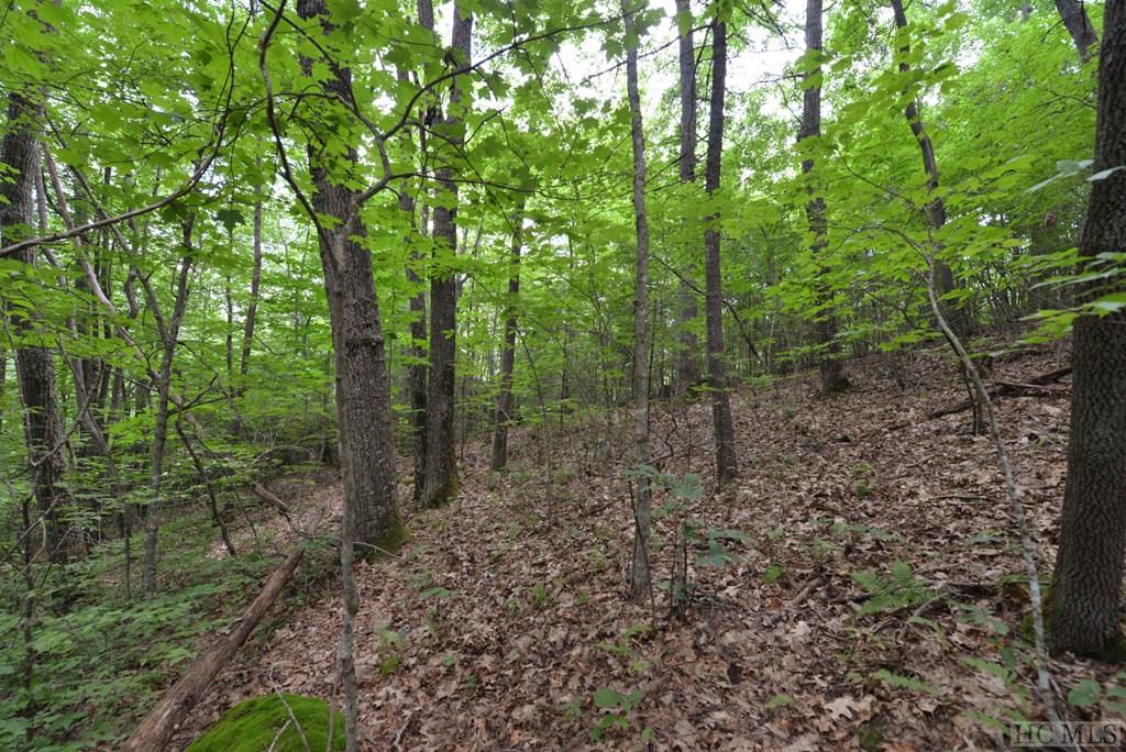 On On Shepherds Gap Road Cullowhee, NC 28723 - Photo 4 of 17 Gallery Image 4