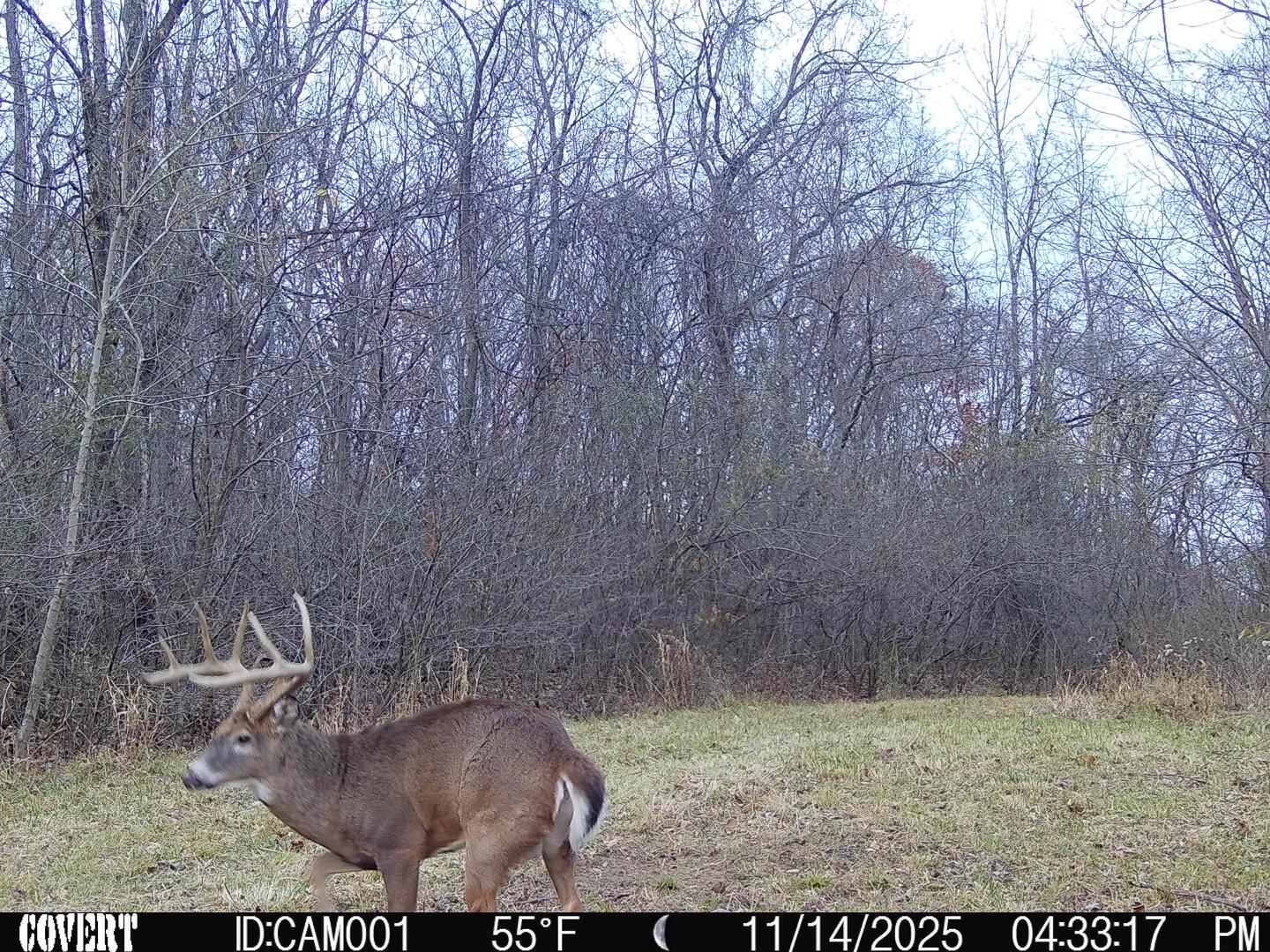 9615 Rural Dale Road Blue Rock, OH 43720 - Photo 74 of 83 9615 Rural Dale Rd-74