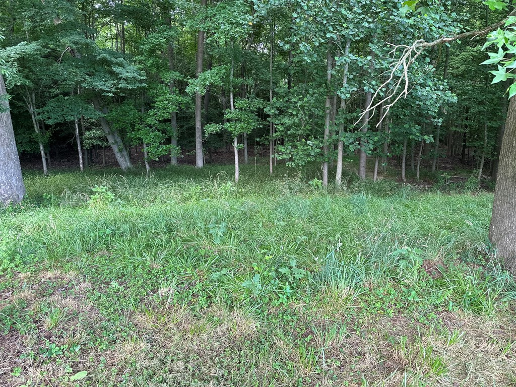 Lot 27 White Tail Road, Unit 27 Onancock, VA 23417 - Photo 4 of 5