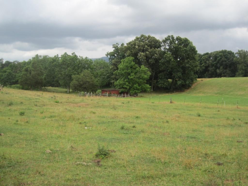 1007 Huffine Road Johnson City, TN 37604 - Photo 3 of 28 Photo 3