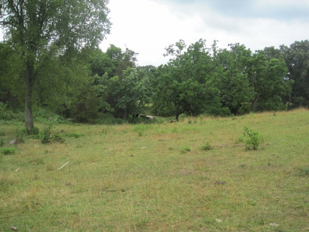 1007 Huffine Road Johnson City, TN 37604 - Photo 4 of 28 Photo 4