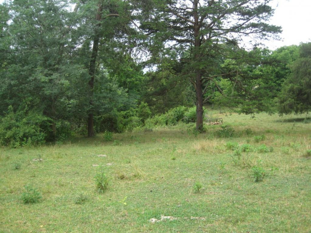 1007 Huffine Road Johnson City, TN 37604 - Photo 8 of 28 Photo 8