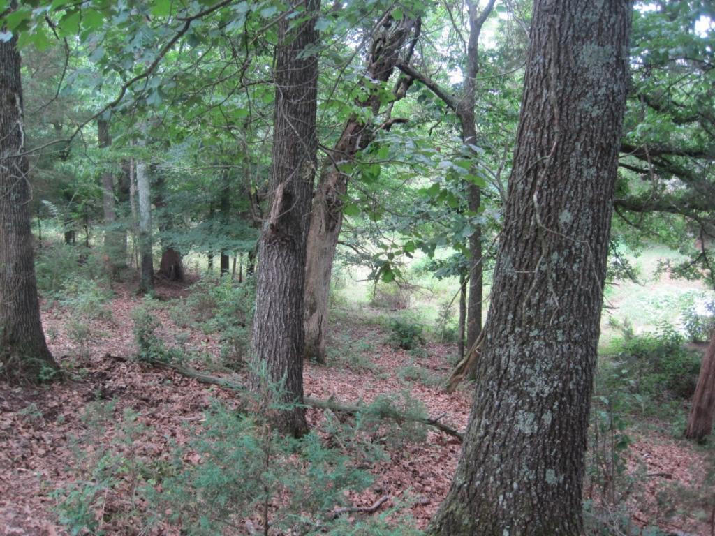 1007 Huffine Road Johnson City, TN 37604 - Photo 10 of 28 Photo 10
