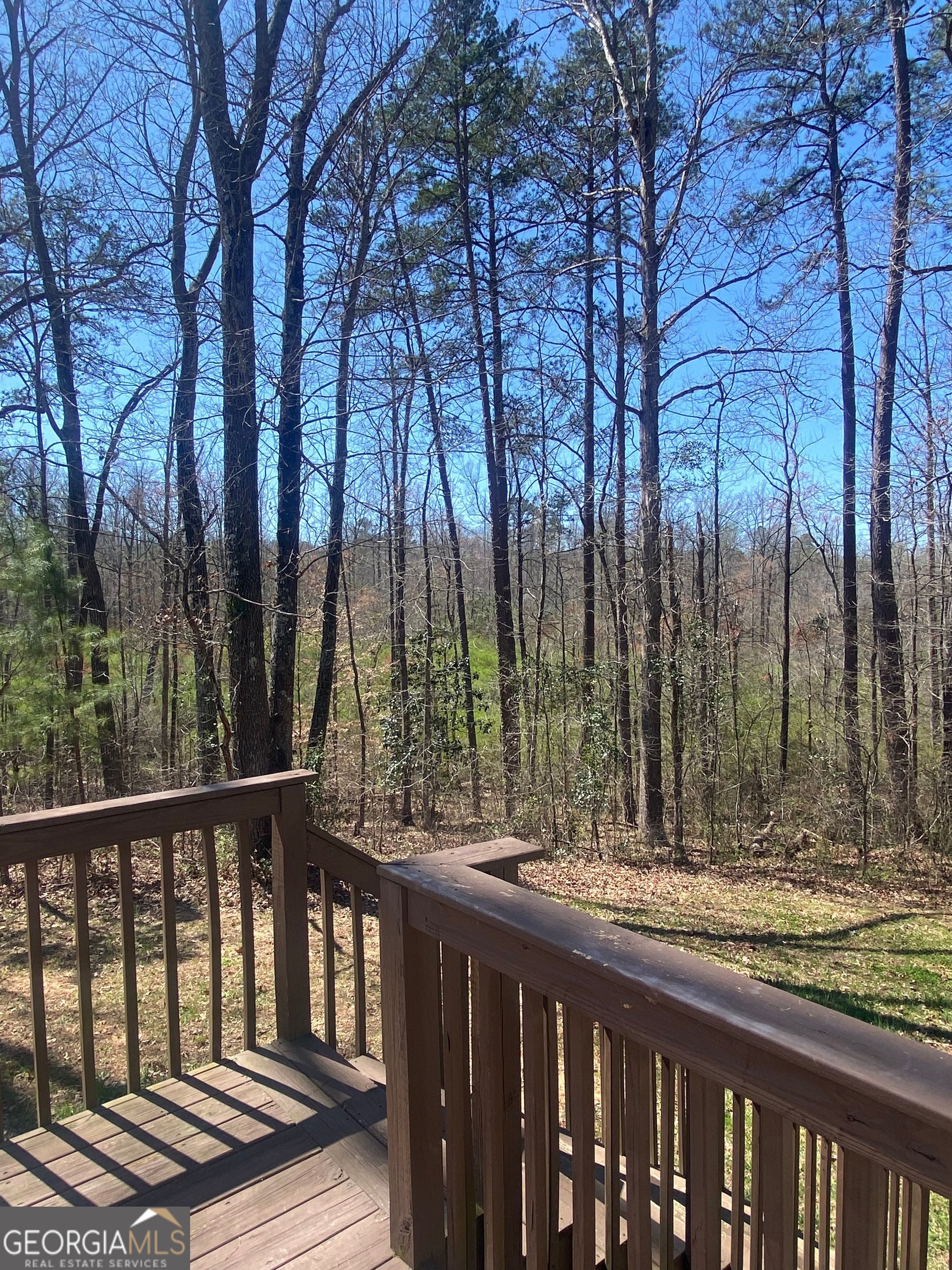 226 Lynn Road Bethlehem, GA 30620 - Photo 9 of 15