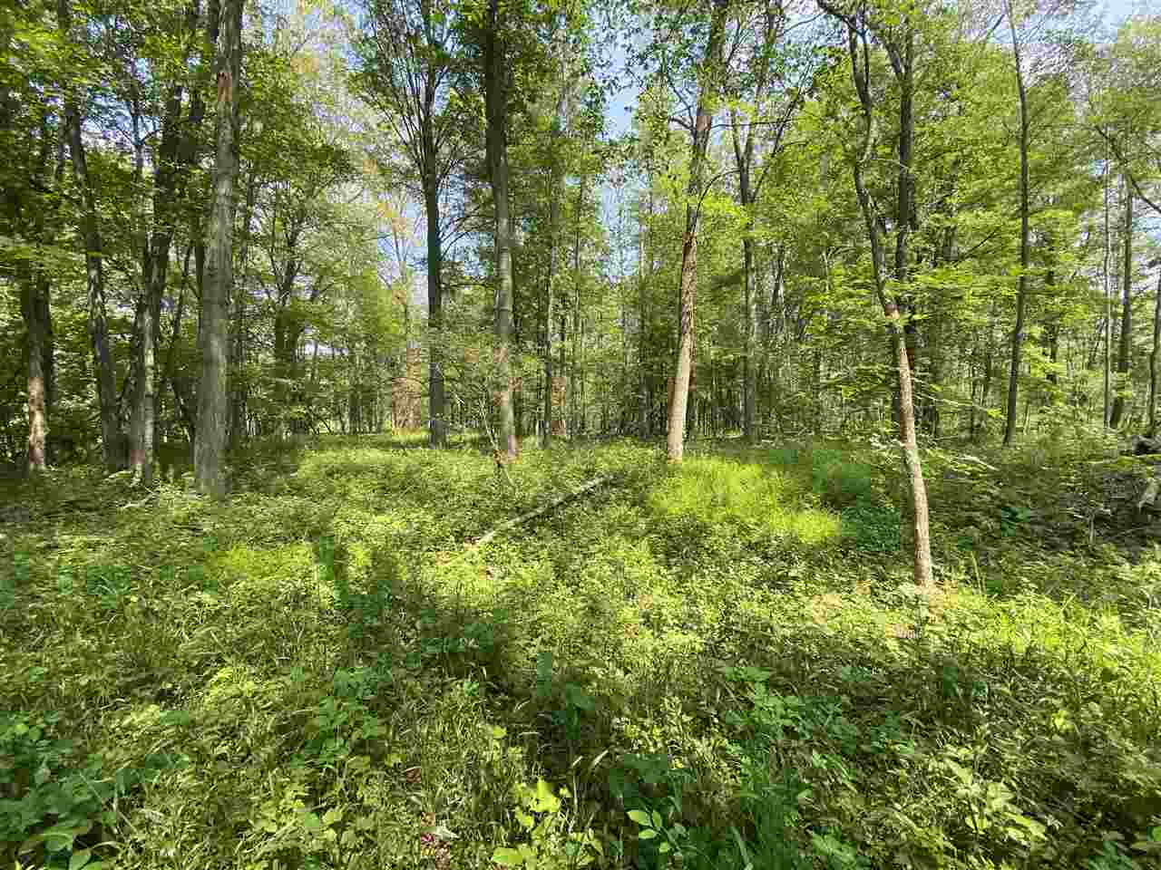 0 Briggs Road Omer, MI 48749 - Photo 35 of 45