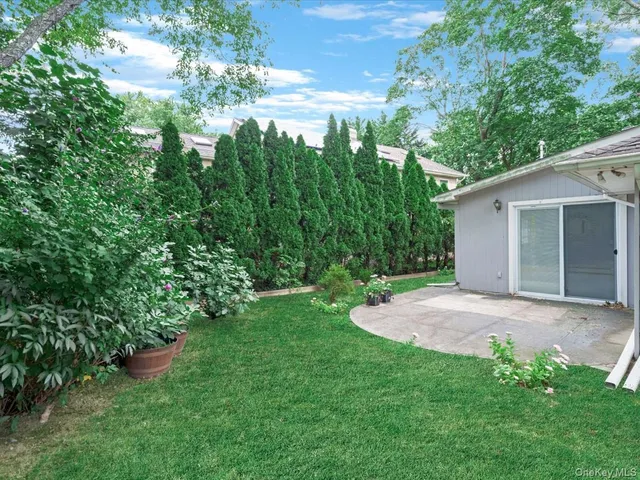 a view of a backyard with plants and a garden