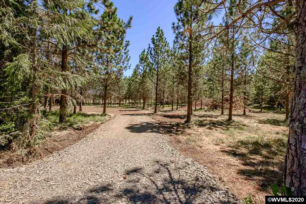 37891 Hungry Hill Road Scio, OR 97374 - Photo 12 of 38