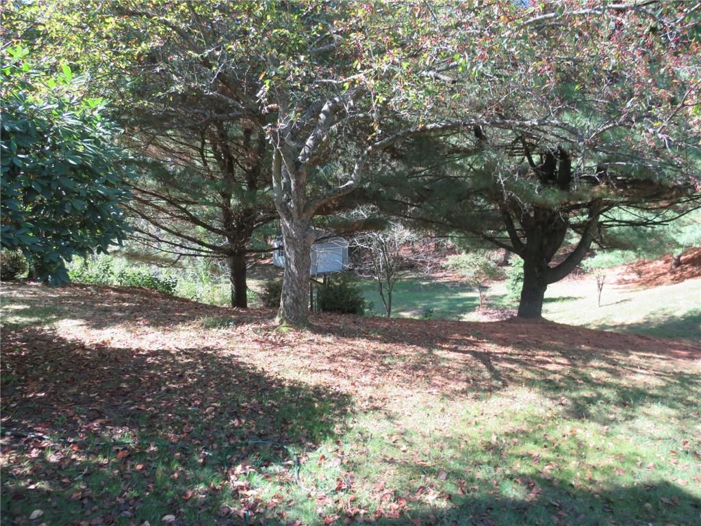 304 Scenic Ridge Court Mars, PA 16046 - Photo 49 of 49 a view of a tree in the middle of a yard