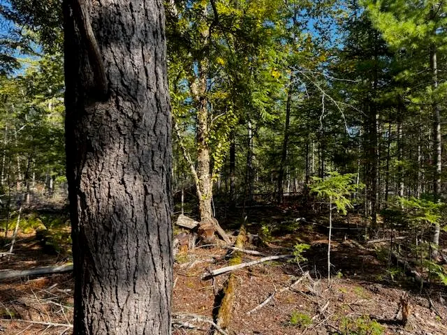 $150,000 | Po M7-l3-1 Po M7-l3-1 Wyman Road, Palmyra, ME 04965