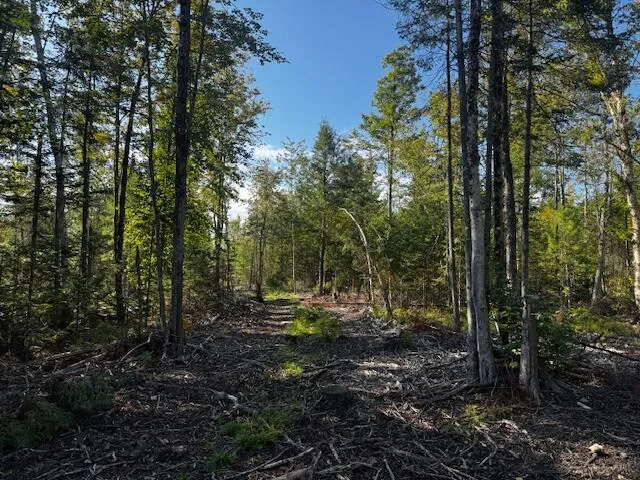 $150,000 | Po M7-l3-1 Po M7-l3-1 Wyman Road, Palmyra, ME 04965