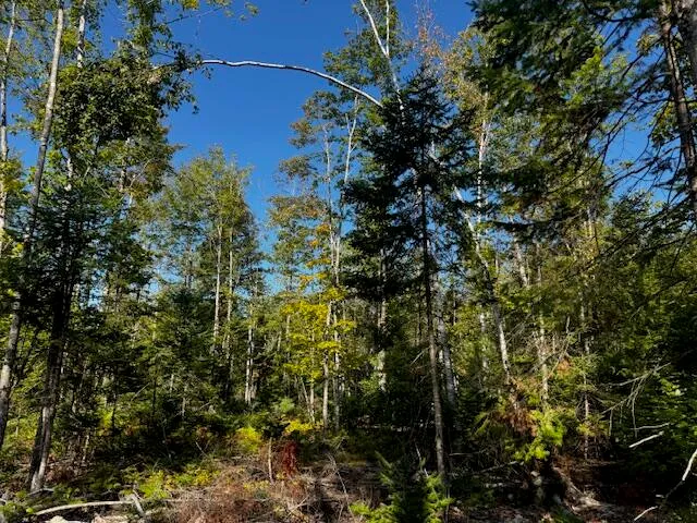 $150,000 | Po M7-l3-1 Po M7-l3-1 Wyman Road, Palmyra, ME 04965