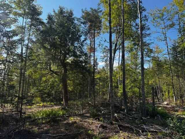 $150,000 | Po M7-l3-1 Po M7-l3-1 Wyman Road, Palmyra, ME 04965