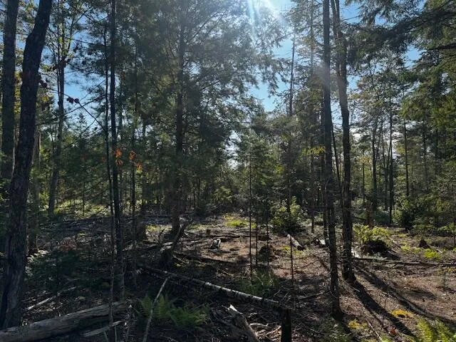 $150,000 | Po M7-l3-1 Po M7-l3-1 Wyman Road, Palmyra, ME 04965