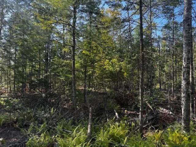 $150,000 | Po M7-l3-1 Po M7-l3-1 Wyman Road, Palmyra, ME 04965