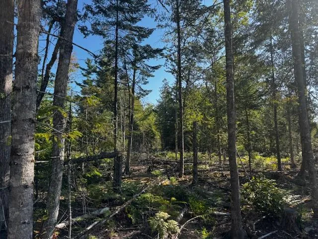 $150,000 | Po M7-l3-1 Po M7-l3-1 Wyman Road, Palmyra, ME 04965