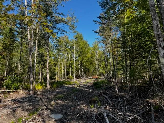 $150,000 | Po M7-l3-1 Po M7-l3-1 Wyman Road, Palmyra, ME 04965